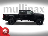 New 2025 Ford F250 XL w/ STX Appearance Package image 2