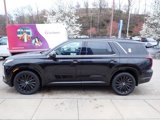 New 2025 Hyundai Palisade Calligraphy image 6
