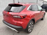 Certified 2023 Ford Escape Platinum image 3