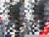 New 2025 Ford Escape ST-Line Select w/ Tech Pack #2 image 4