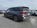 New 2025 Honda Odyssey Elite image 6