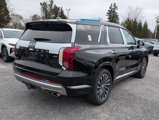 New 2025 Hyundai Palisade Calligraphy image 4