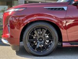 New 2025 INFINITI QX80 Sensory image 4