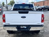 Used 2023 Ford F150 XLT image 4
