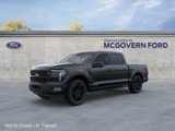 New 2025 Ford F150 Platinum image 2