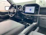 New 2025 Ford F150 XLT w/ Equipment Group 302A MID image 6