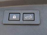 New 2025 Subaru Outback Wilderness image 5