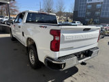 Used 2020 Chevrolet Silverado 1500 W/T w/ WT Safety Package image 6