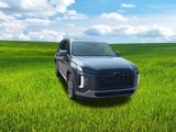 New 2025 Hyundai Palisade Limited image 3