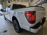 New 2025 Ford F150 XLT w/ Equipment Group 302A MID image 3