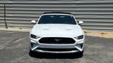 Certified 2023 Ford Mustang Premium image 2
