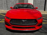 Used 2024 Ford Mustang Coupe image 4