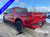 New 2025 Ford F150 XLT w/ Equipment Group 302A MID image 5