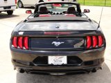 Used 2019 Ford Mustang Premium w/ Equipment Group 201A image 5