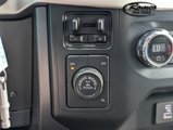 Used 2021 Ford F150 XLT w/ Equipment Group 301A Mid image 5
