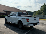 Used 2020 Ford F150 XLT w/ Equipment Group 302A Luxury image 5