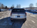 New 2025 Kia Carnival SX Prestige image 6