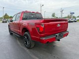 New 2025 Ford F150 XLT image 5