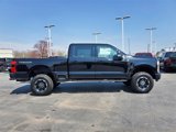 New 2025 Ford F250 4x4 Crew Cab Super Duty image 4