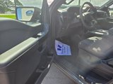 New 2025 Ford F150 STX w/ Equipment Group 200A image 6