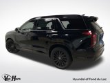 New 2025 Hyundai Palisade Calligraphy image 3
