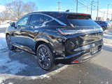 New 2025 Nissan Murano Platinum w/ Cargo Package image 3