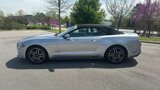 Used 2020 Ford Mustang Premium image 4