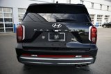 New 2025 Hyundai Palisade Calligraphy image 3