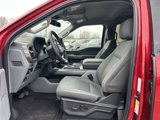 New 2025 Ford F150 XLT w/ Equipment Group 302A MID image 5