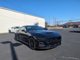 New 2025 Ford Mustang GT w/ Mustang Nite Pony Package image 2