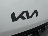 New 2025 Kia Carnival SX image 4