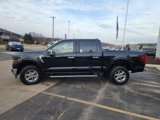 New 2025 Ford F150 XLT w/ Equipment Group 302A MID image 5