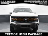New 2025 Ford F150 Tremor image 2