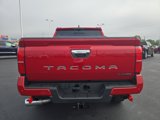 New 2025 Toyota Tacoma Limited image 6