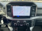 New 2025 Ford F150 XLT w/ Equipment Group 301A Standard image 2
