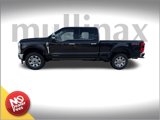 New 2025 Ford F250 Platinum image 2