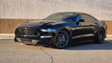 Used 2022 Ford Mustang GT w/ Equipment Group 301A image 3