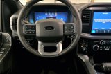New 2025 Ford F150 XLT w/ Equipment Group 301A Standard image 5