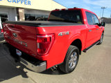 Used 2022 Ford F150 XLT w/ Equipment Group 302A High image 5