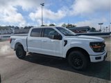 New 2025 Ford F150 XLT w/ Equipment Group 301A Standard image 5