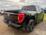 Used 2021 Ford F150 XLT w/ Equipment Group 302A High image 4