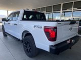 New 2025 Ford F150 STX image 4