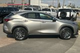 New 2026 Lexus NX 350 AWD image 4