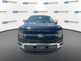 New 2025 Ford F150 XLT w/ Equipment Group 303A High image 3