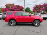 Used 2024 Toyota 4Runner TRD Off-Road Premium image 2