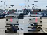 New 2025 Ford F150 XLT w/ Equipment Group 303A High image 4