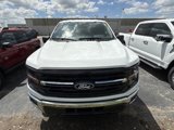 New 2025 Ford F150 XLT w/ Equipment Group 301A Standard image 2
