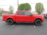 Used 2016 Ford F150 XLT w/ Equipment Group 302A Luxury image 4