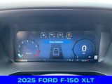 New 2025 Ford F150 XLT w/ Equipment Group 303A High image 2