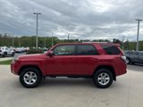 Used 2024 Toyota 4Runner SR5 Premium image 4